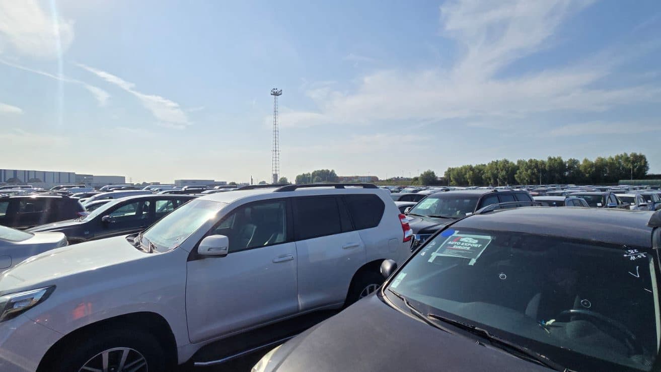 Vehicles parked in a port yard, an identification sheet placed on a windscreen